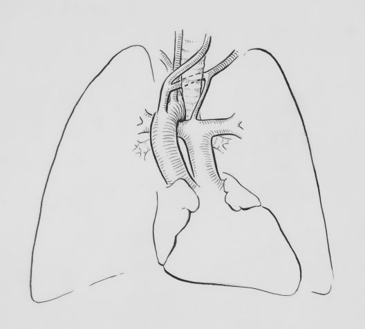 Respiración diafragmática: guía práctica