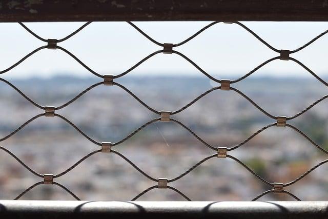 Comprender la necesidad de límites en una etapa que reclama libertad